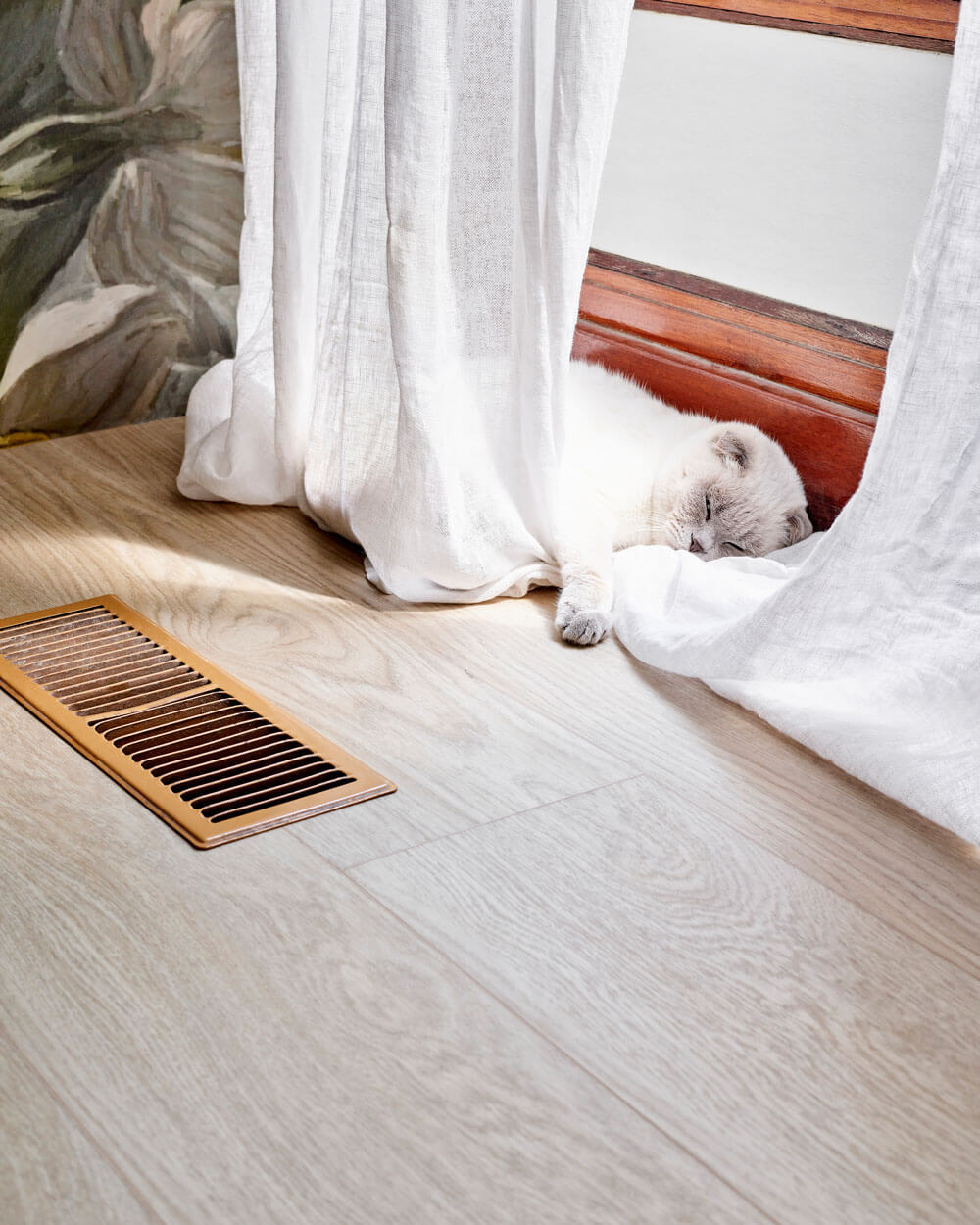 Белая кошка спит у оконной рамы на роскошном виниловом полу Moduleo LayRed Laurel Oak 51230 с тиснением в регистр.